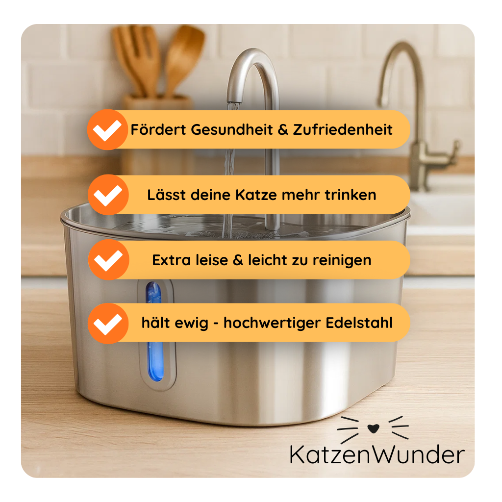 KatzenQuelle