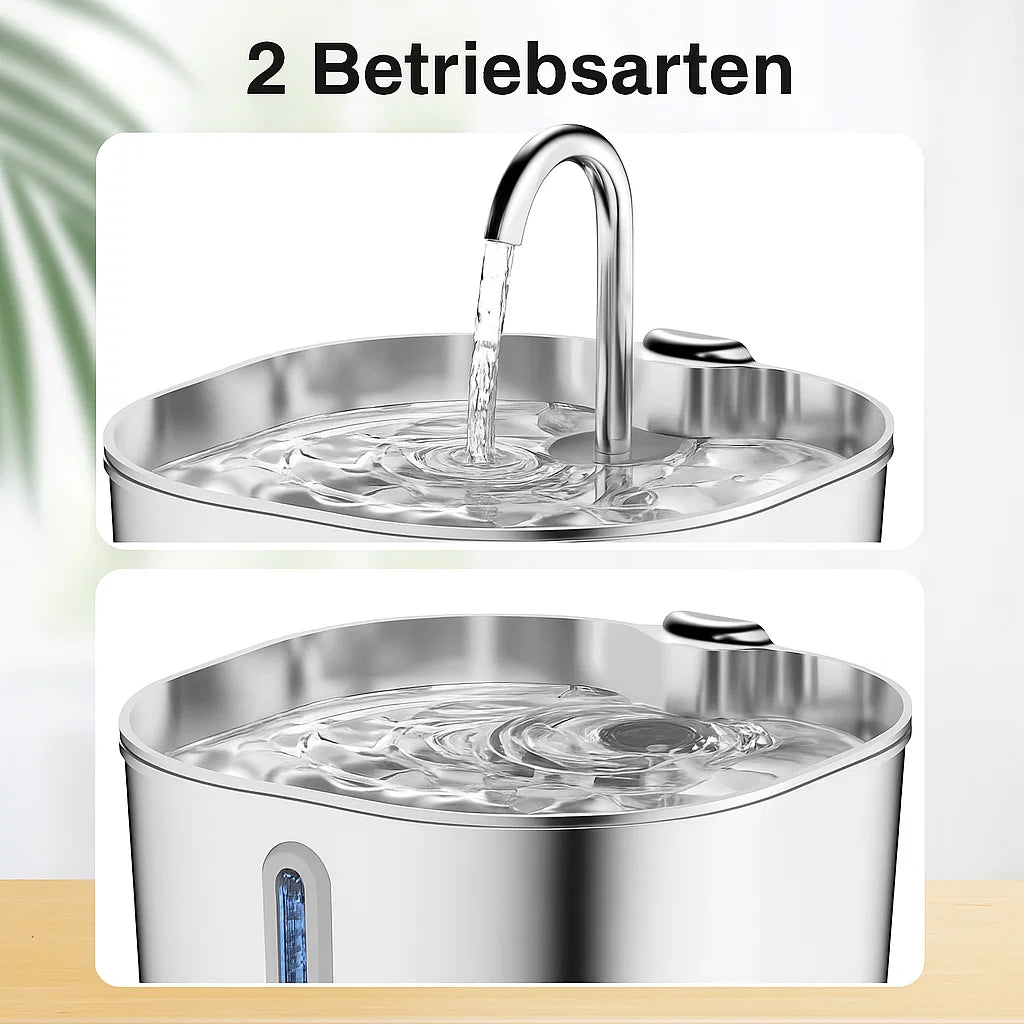 KatzenQuelle