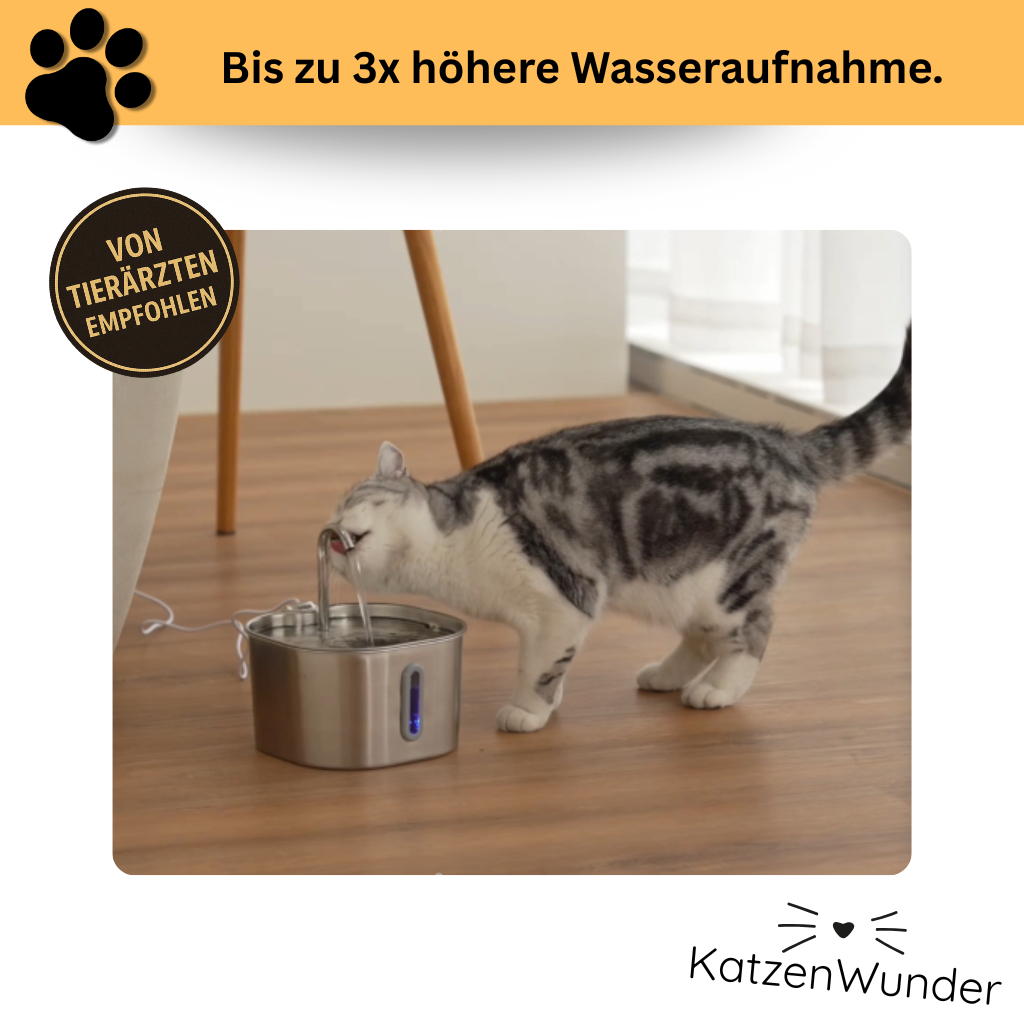 KatzenQuelle