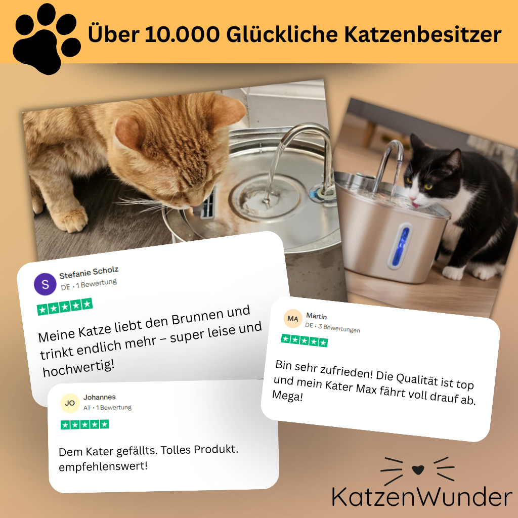 KatzenQuelle