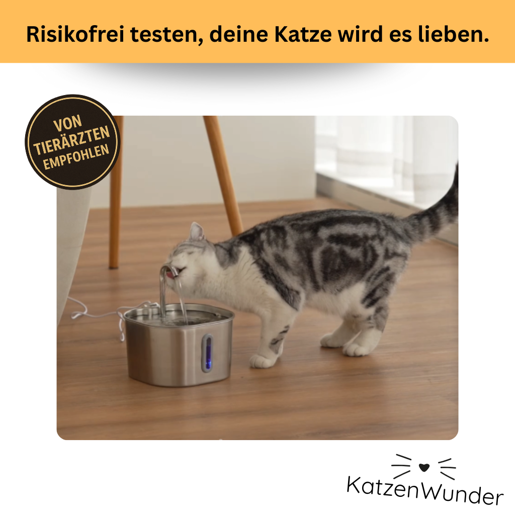 KatzenQuelle