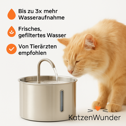KatzenQuelle