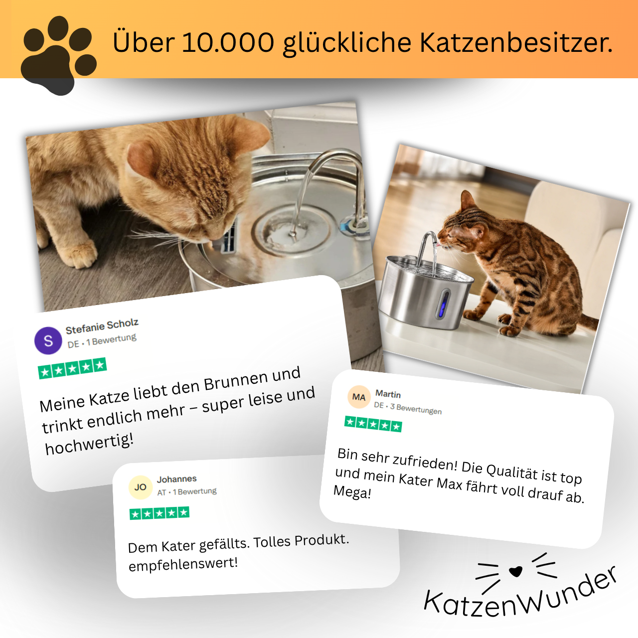 KatzenQuelle